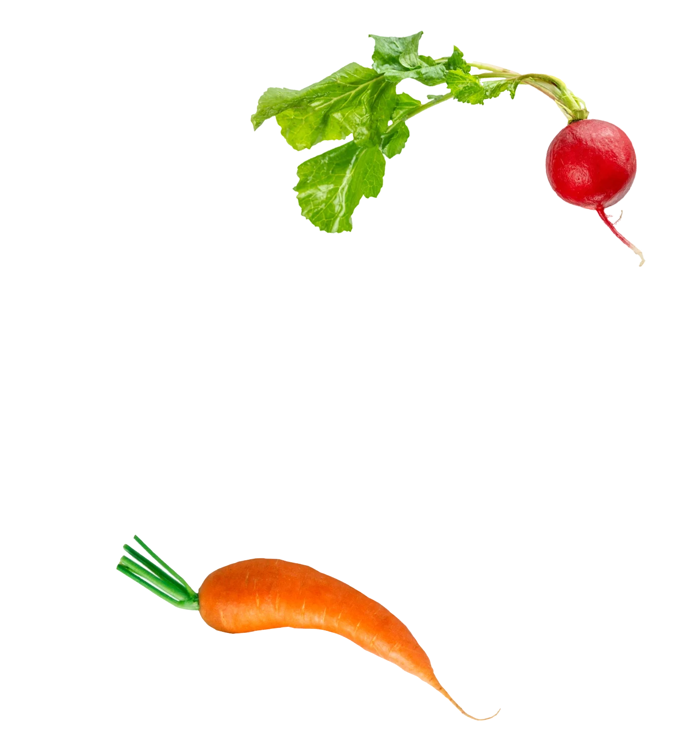 carrots2